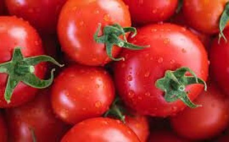 தக்காளி இல்லாத சமையல்... ஆரோக்கியமானதா?நாடு முழுவதும் தக்காளி விலை உயர்வு, காரணம்...