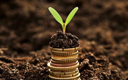 வீட்டிற்குள் மணி பிளான்ட் வளர்த்தால் இத்தனை நன்மைகளா..? மிஸ் பண்ணிடாதீங்க...Money plant.......