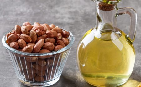 ரோட்டரி மற்றும் மரச்செக்கு என்ன வித்தியாசம்?;மரச்செக்கு எண்ணெய் தொழில் செய்யலாம் வாங்க;கடந்த 60-70 ஆண்டுகளாக மக்களை வாட்டிவதைக்கும் இந்த ரீஃபைண்ட் ஆயில்.. இதற்கு நல்ல தீர்வுதான் என்ன?;மரச்செக்கு எண்ணெய்;