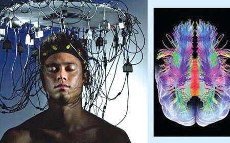 ஜப்பானின் 'கனவு வாசிப்பு' இயந்திரம்