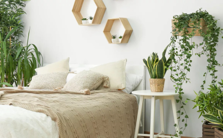 இரவில் நல்ல தூக்கத்தைப் பெற படுக்கை அறையில் வைக்க வேண்டிய 5 செடிகள்!!!