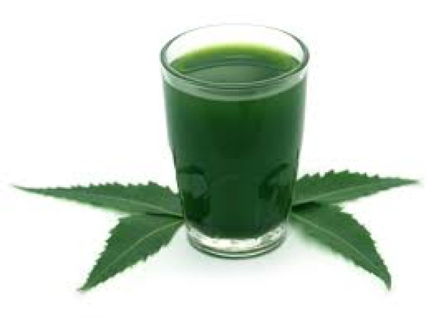 வேப்பிலை சாறு பயன்கள் (Neem Juice Benefits in Tamil)