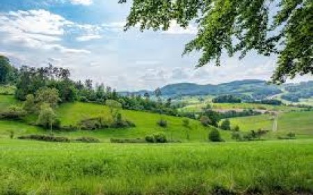 தமிழ் கவிதை - Tamil kavithai