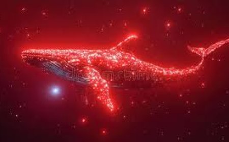 சிவப்பு நிறம் கொண்ட வெள்ளை திமிங்கலம்- Tamil stories