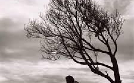 எதிர்பார்ப்பு – ஏமாற்றம் - Tamil kavithai