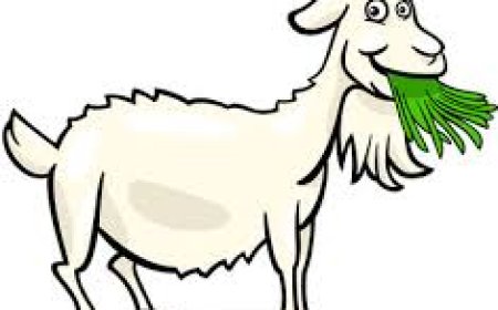 முரட்டு ஆடு - சிறுவர் கதைகள்