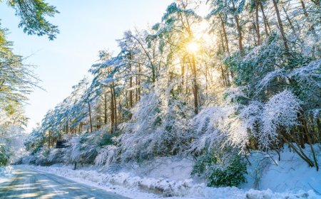 பனித்துளி நினைவுகள்  - Tamil kadhaigal