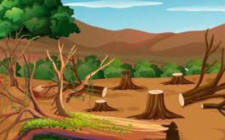 பூங்காவனம் -  Tamil kadhaigal