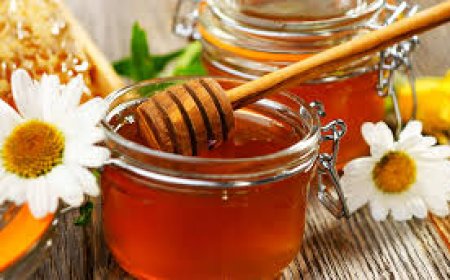 தேன் சாப்பிட்டால் இவ்வளவு நன்மைகளா?  - Honey Benefits in tamil