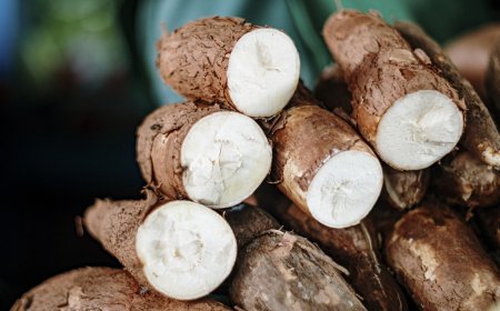 மரவல்லி கிழங்கு செய்முறை (மசக்கிய மரவள்ளிக்கிழங்கு) – Tamil Recipes