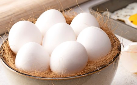 தினம் ஒரு முட்டை சாப்பிடுவது உடலுக்கு நன்மையா? தீமையா?