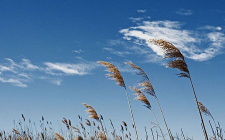 காற்றின் திருப்பம் – Tamil kavithai