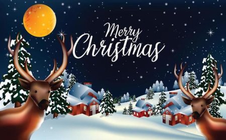 கிறிஸ்துமஸ்