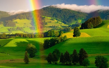 வானவில் – ஒரு இனிமையான பயணம்