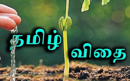 விதை – Tamil kavithai