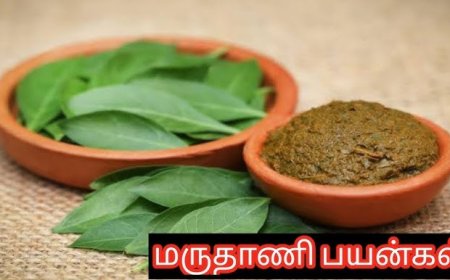 மருதாணி நன்மைகள்
