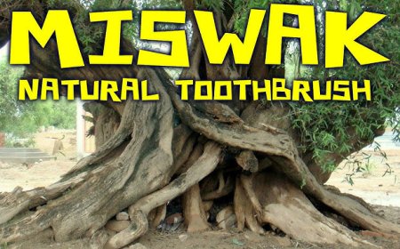 மிஸ்வாக் குட்சி - Tamil