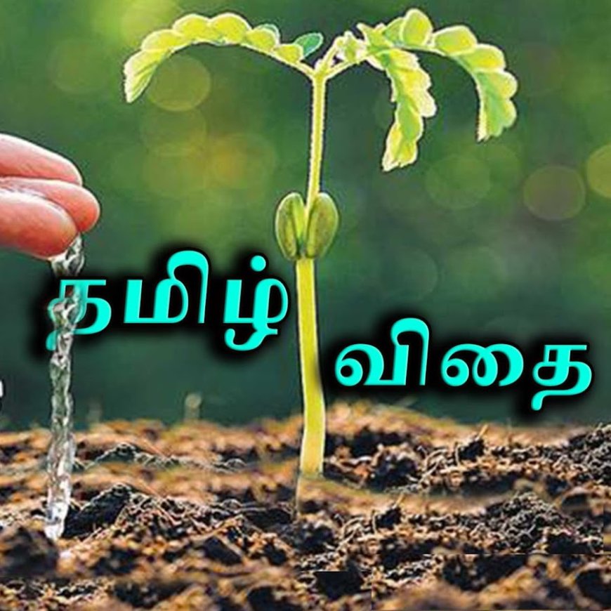 விதை – Tamil kavithai