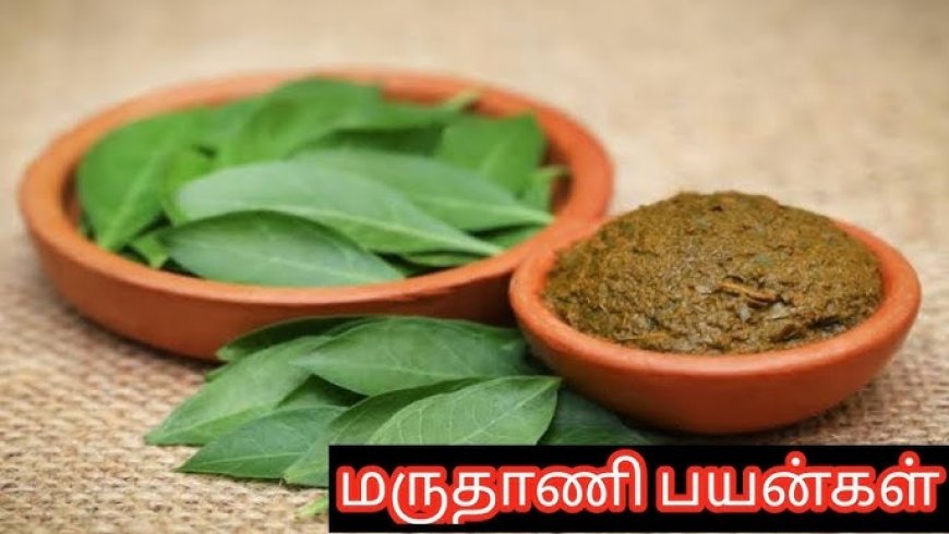 மருதாணி நன்மைகள்