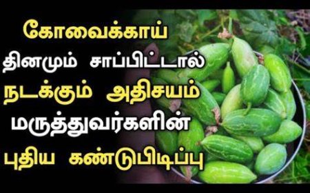 கோவைக்காய் மருத்துவ குணங்கள் | Kovakkai Health Benefits in Tamil