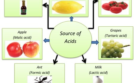 அமிலங்கள்/Acids