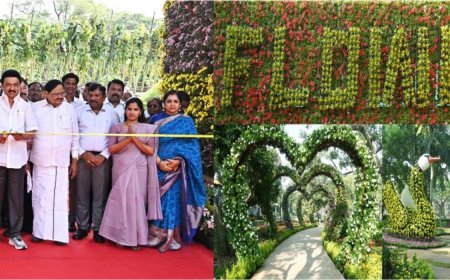 சென்னையில் 10 நாள் செம்மொழிப் பூங்காய் மலர் கண்காட்சியில் கண்களைக் கவரும் வகையில் 3 மில்லியன் மலர் ஏற்பாடுகள், விவரங்களை இங்கே பார்க்கவும்