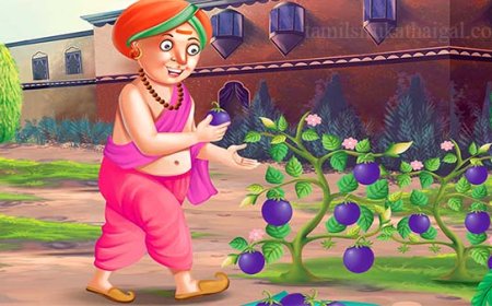 தெனாலிராமன் கதைகள் தெனாலிராமனும் கத்தரிக்காயும்