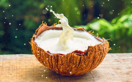 தினசரி தேங்காய்ப் பால் குடிப்பதால் கிடைக்கும் 6 நன்மைகள்!