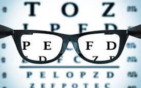 முதுமையில் கூர்மையான பார்வையை தக்கவைக்கும் 6 காய்கறிகள்! - FOODS TO IMPROVE EYESIGHT