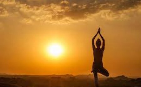 சூரிய நமஸ்காரத்தில் இவ்வளவு நன்மைகளா? தினசரி 3 முறை செய்தால் போதும்! - SURYA NAMASKAR BENEFITS