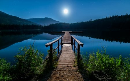 காதல் சிதறல்கள்