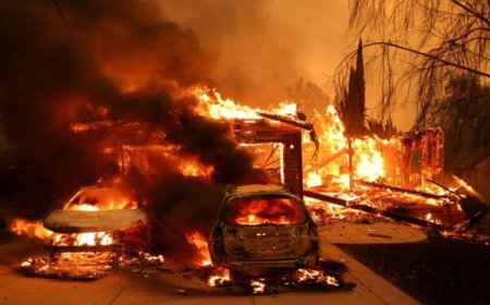 2025 லாஸ் ஏஞ்சல்ஸ் தீப்பரவல்: பேரழிவின் கதை - 2025 Los Angeles Wildfires: A Tale of Destruction