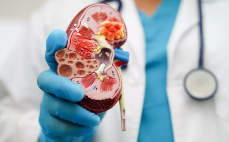 சிறுநீரக பாதிப்பை தடுக்கும் 5 உணவுகள்..! என்னென்ன தெரியுமா..?