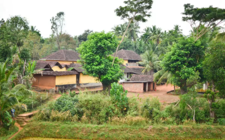 விழிப்புணர்வு