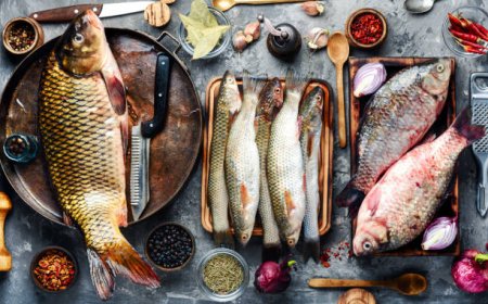 தினமும் மீன் சாப்பிடுவதால் எவ்வளவு நன்மை கிடைக்கும் தெரியுமா?