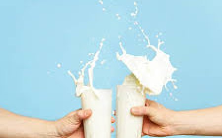 இரவில் பால் குடித்தால் உடல்கெட்டு விடுமா.? மருத்துவர்கள் கூறுவது என்ன.?!