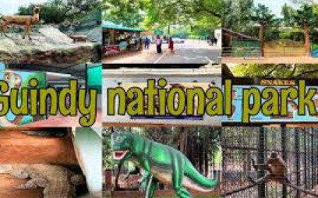 கிண்டி தேசிய பூங்கா சென்னை (நேரம், வரலாறு, நுழைவு கட்டணம், படங்கள் & தகவல்)