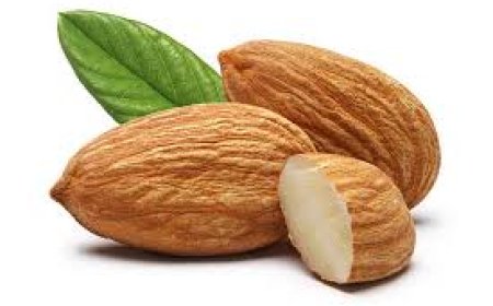Almonds: குழந்தைகளுக்கு ஒரு நாளைக்கு எத்தனை பாதாம் சாப்பிட கொடுக்கலாம்..! முழு விவரம் இதோ...