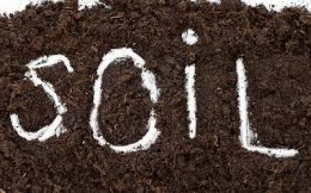 மண்ணின் வகைகள் பற்றி தெரியுமா உங்களுக்கு..! | Types of Soil in Tamil