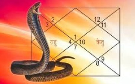 கனவில் பாம்பு வந்தால் உடனே இதைப் பண்ணுங்க.. ஜோதிடர் தரும் விளக்கம்!