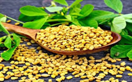 வெறும் வயிற்றில் நெய்யில் வறுத்த வெந்தயம் - உடலில் செய்யும் அற்புதங்களை பாருங்க