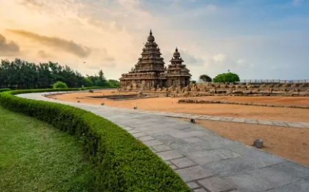 என் தாயகம்