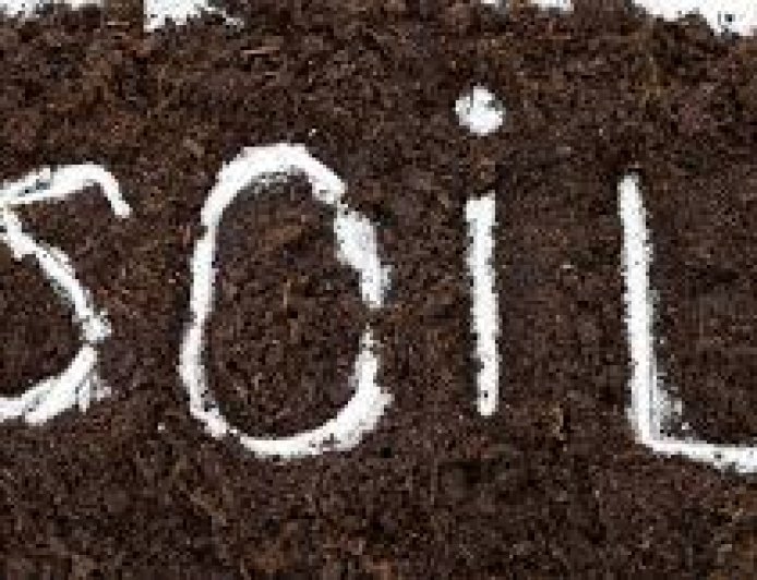 மண்ணின் வகைகள் பற்றி தெரியுமா உங்களுக்கு..! | Types of Soil in Tamil