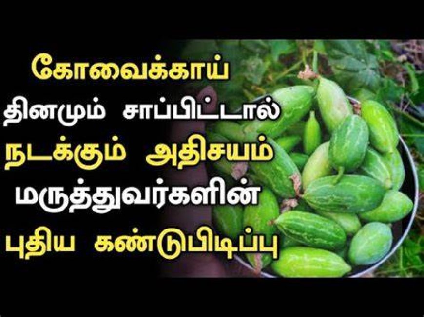 கோவைக்காய் மருத்துவ குணங்கள் | Kovakkai Health Benefits in Tamil