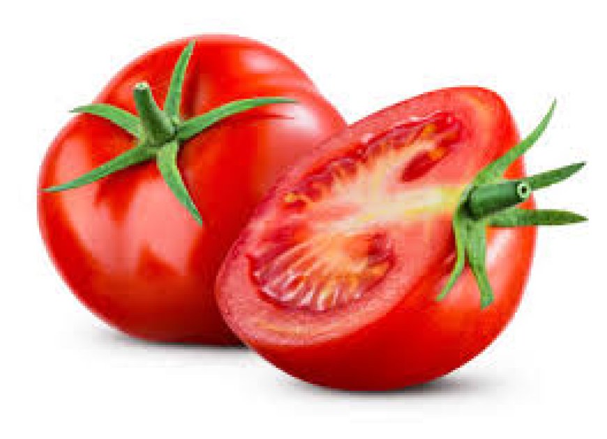 தக்காளி (Tomato)