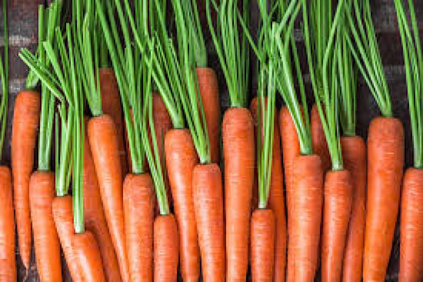 கேரட் (Carrot):