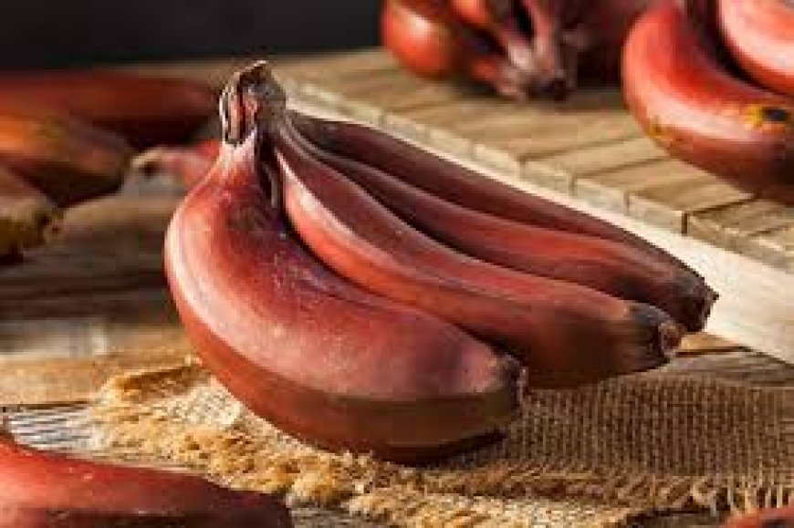 Red Banana: செவ்வாழை பழம் சாப்பிட சரியான நேரம் எது தெரியுமா..? கண்டிப்பா தெரிஞ்சிக்கோங்க!