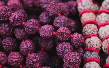 ருத்ராட்சம் அணிந்தால் என்ன செய்ய வேண்டும், என்ன செய்ய கூடாது?