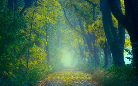 தமிழ் கவிதைகள்