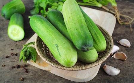 வெள்ளரிக்காய் சாகுபடி முறை மற்றும் பயன்கள்